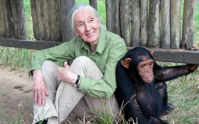 The Jane Goodall Story for Kids