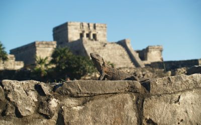 Aztec Adventure: Journey to Tenochtitlan